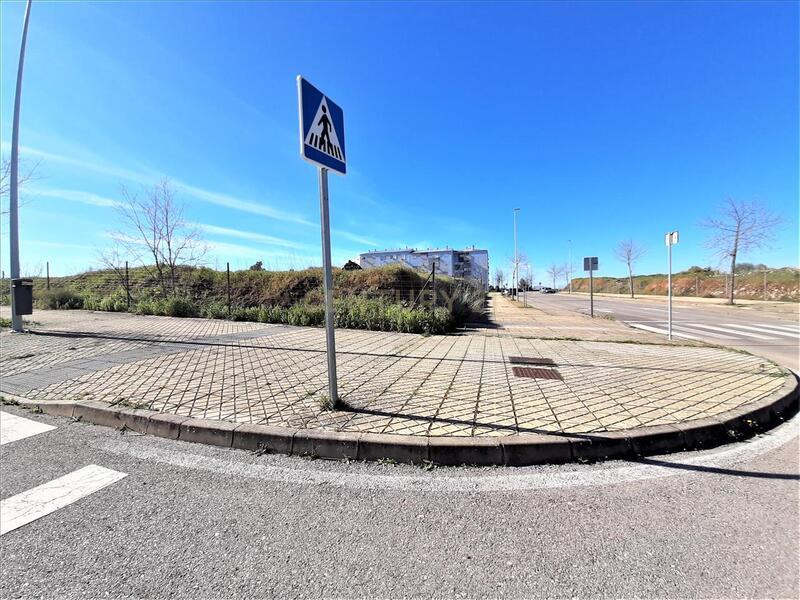 Terreno - Image 6