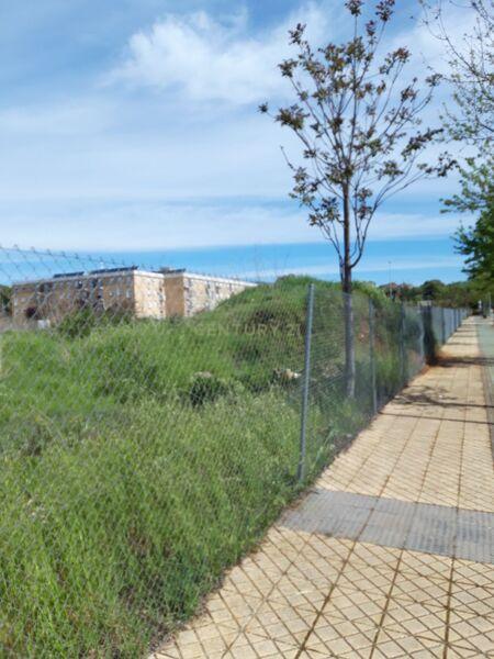 Terreno - Image 8