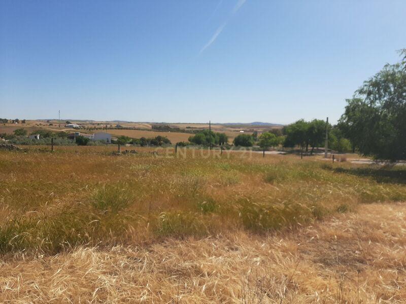 Terreno - Image 3