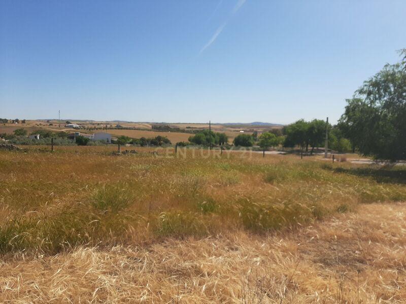 Terreno - Image 3