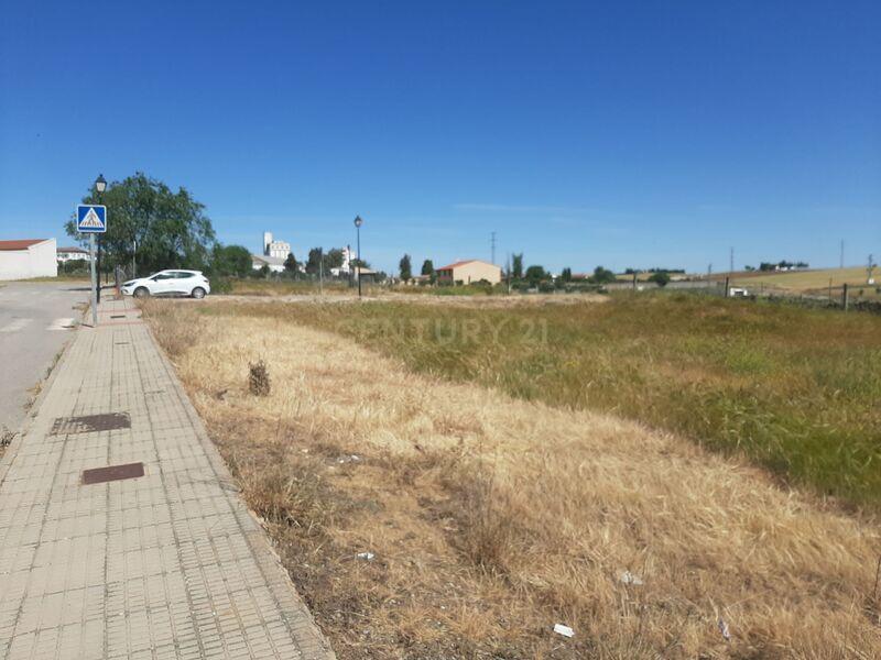 Terreno - Image 4