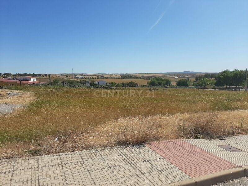 Terreno - Image 5