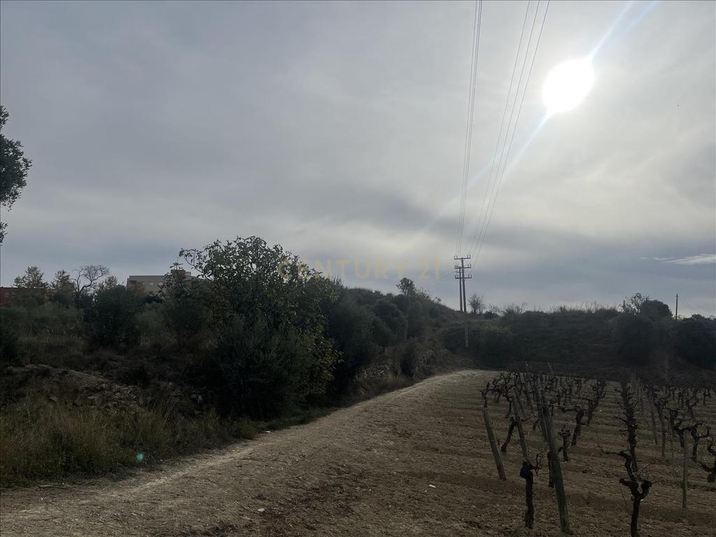 Terreno - Image 8