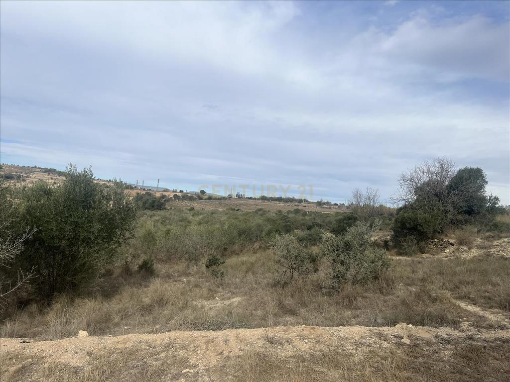 Terreno - Image 3