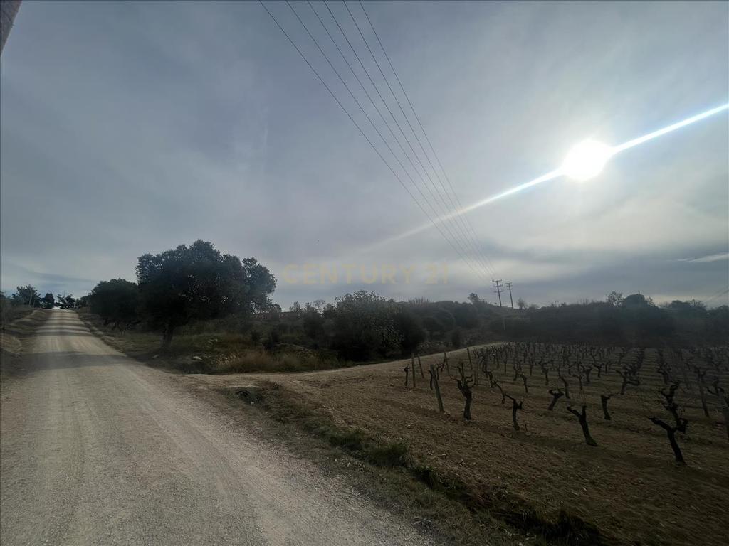 Terreno - Image 7