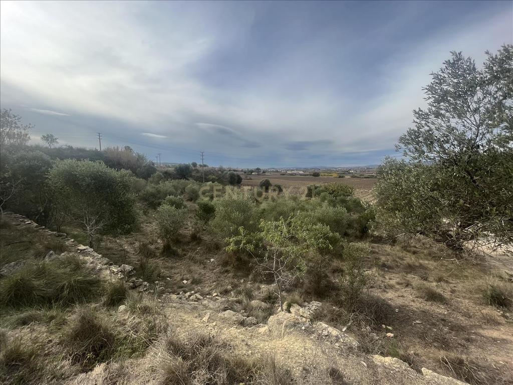 Terreno - Image 2