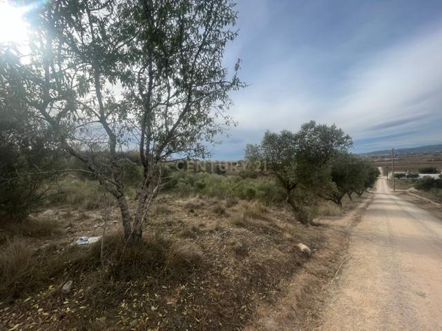 Terreno - Image 1
