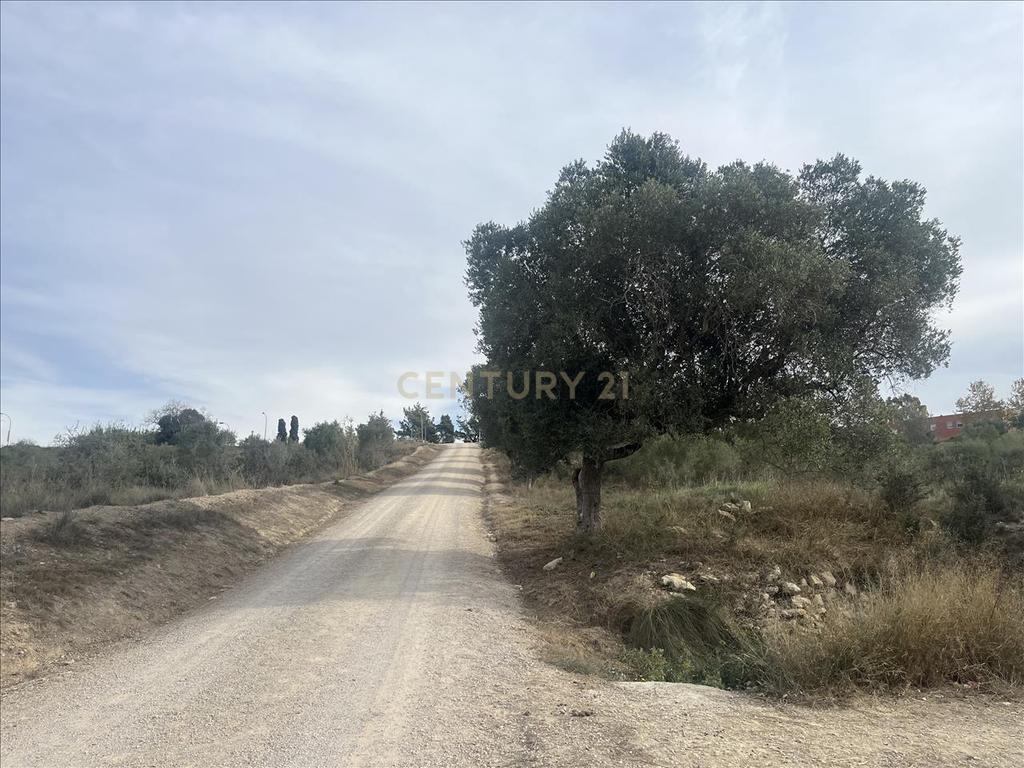 Terreno - Image 10