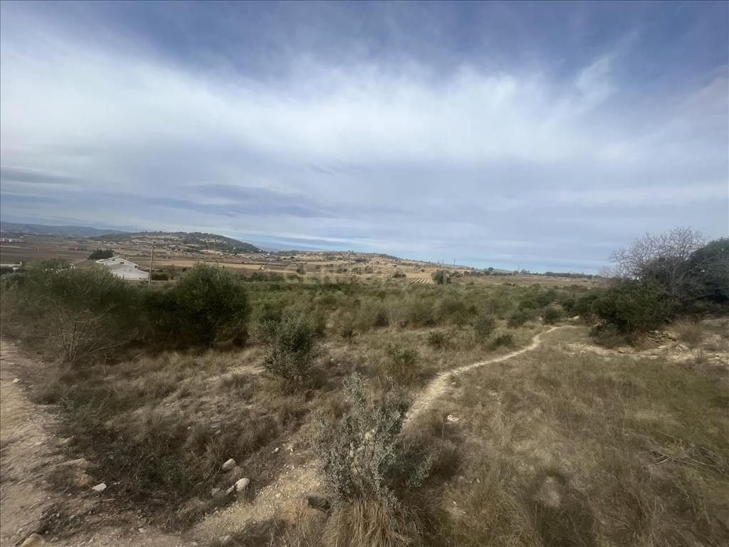 Terreno - Image 4