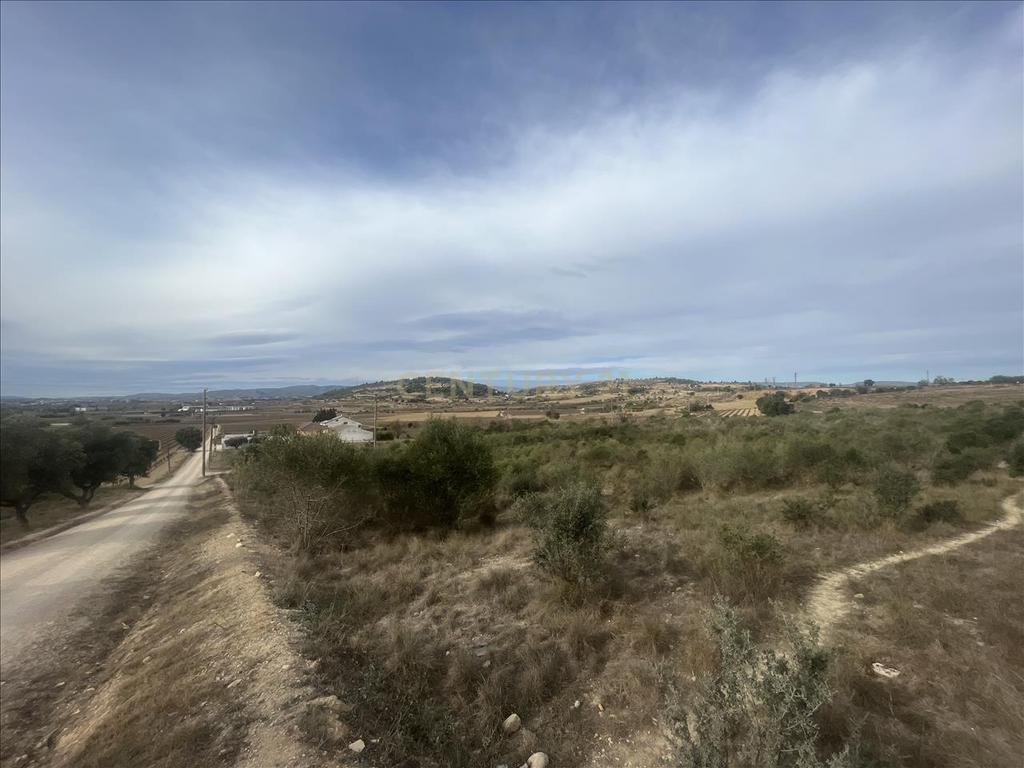 Terreno - Image 5