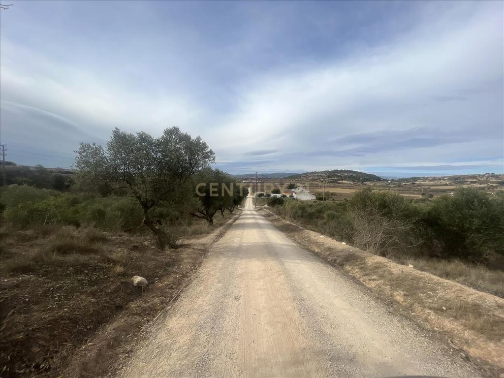 Terreno - Image 6