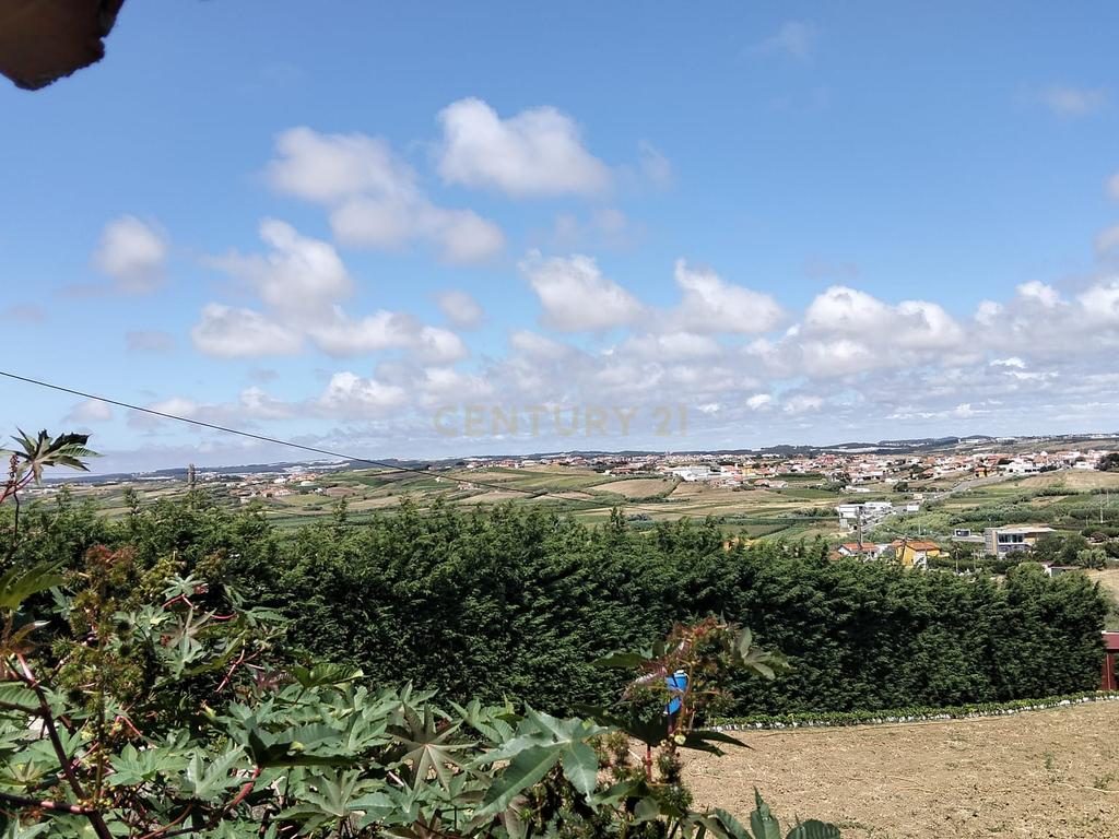 Terreno Urbano para Construção com 190 m² e Projeto Aprovado para Moradia T2 Térrea – São Pedro da Cadeira - Image 11