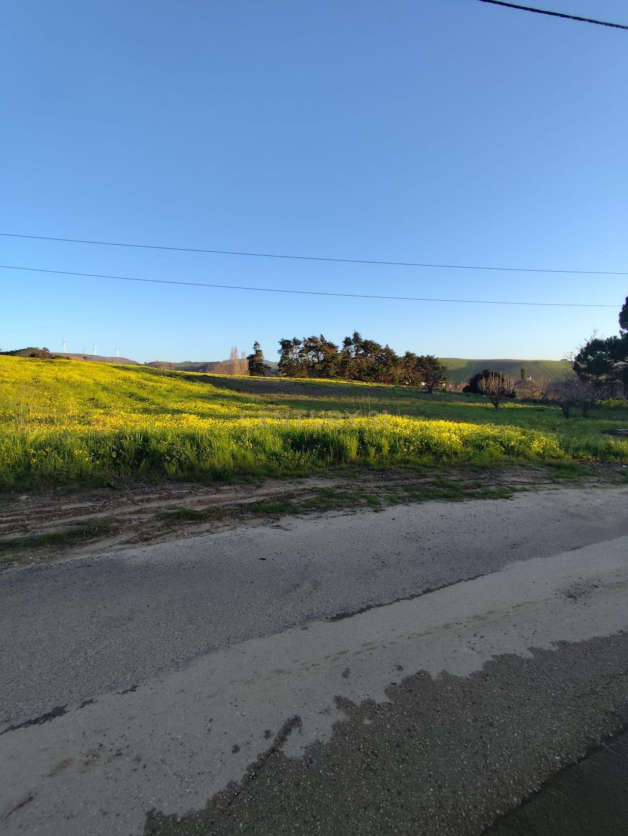 Fotografia 9 de TERRENO URBANO COM 1.620 m² | CARVALHAL – TURCIFAL | TORRES VEDRAS