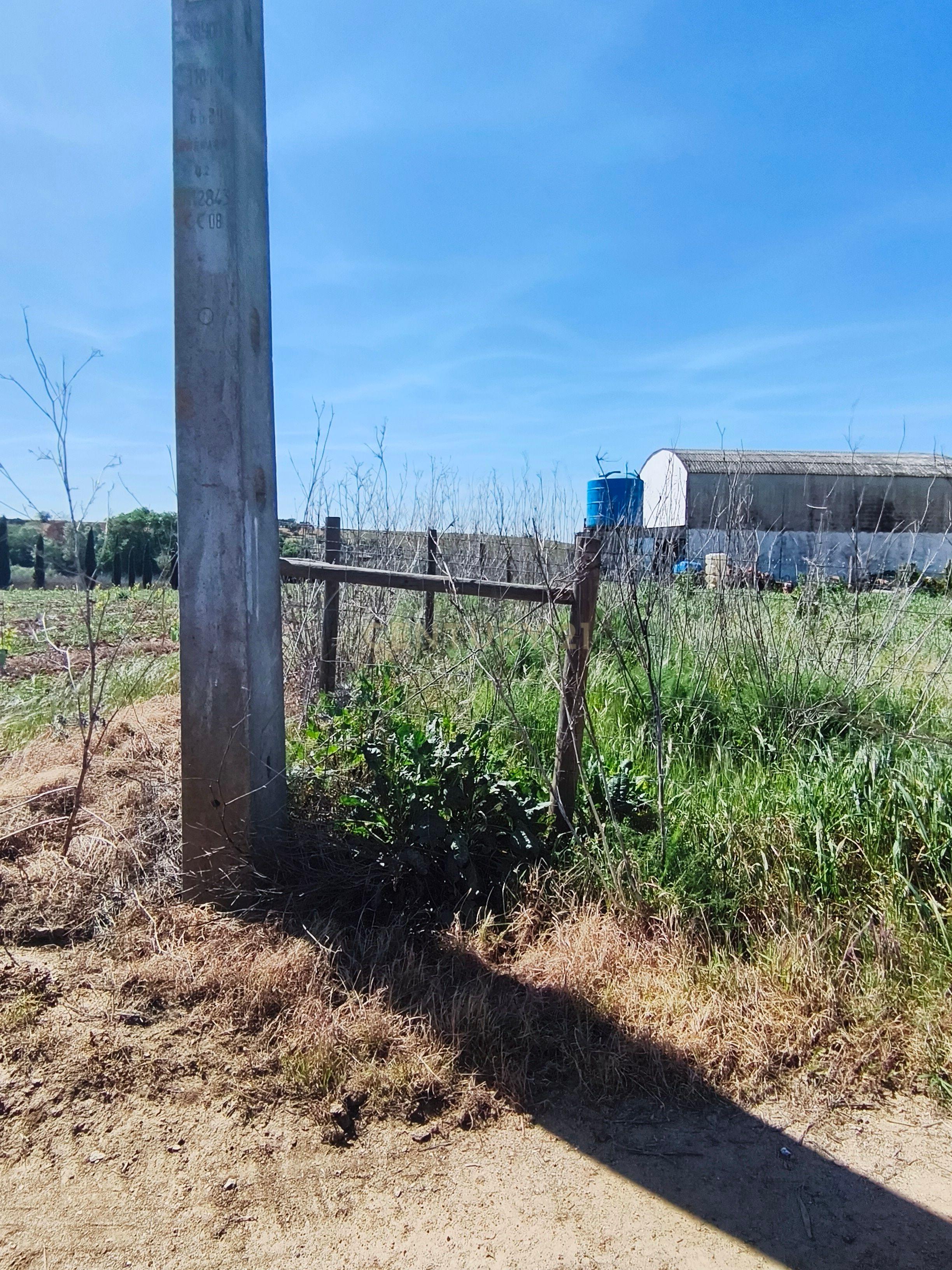 Fotografia 3 de Terreno em Montoito, Redondo - 2790m² por 57.000€