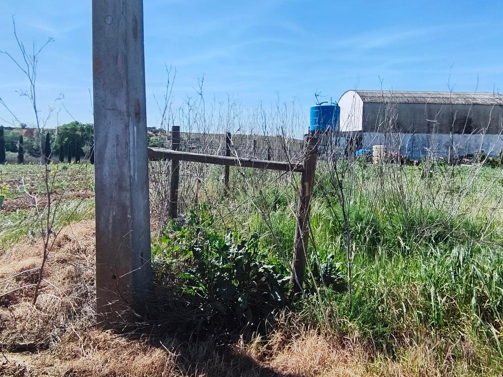 Terreno em Montoito, Redondo - 2790m² por 57.000€ - Image 3