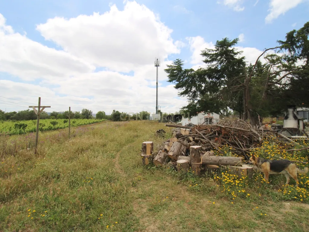 Quinta em Palmela - Image 32