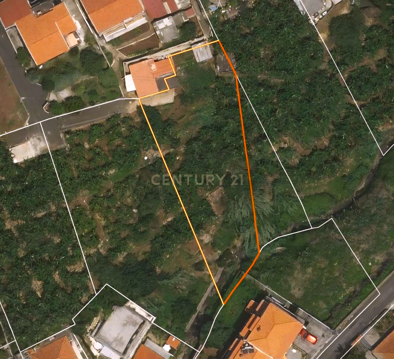 Fotografia 7 de Terreno com Vista a Bahia do Funchal