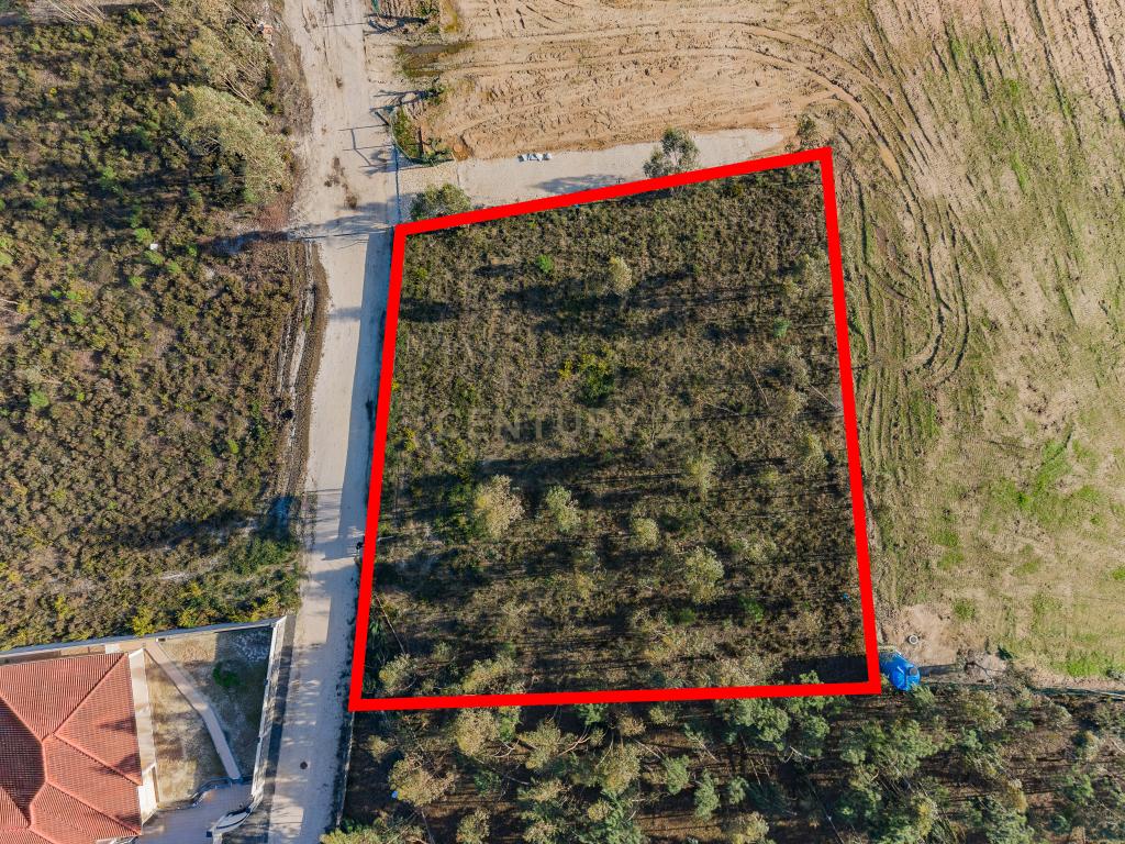 Terreno Rústico com Viabilidade de Construção — Barosa, Leiria - Image 18