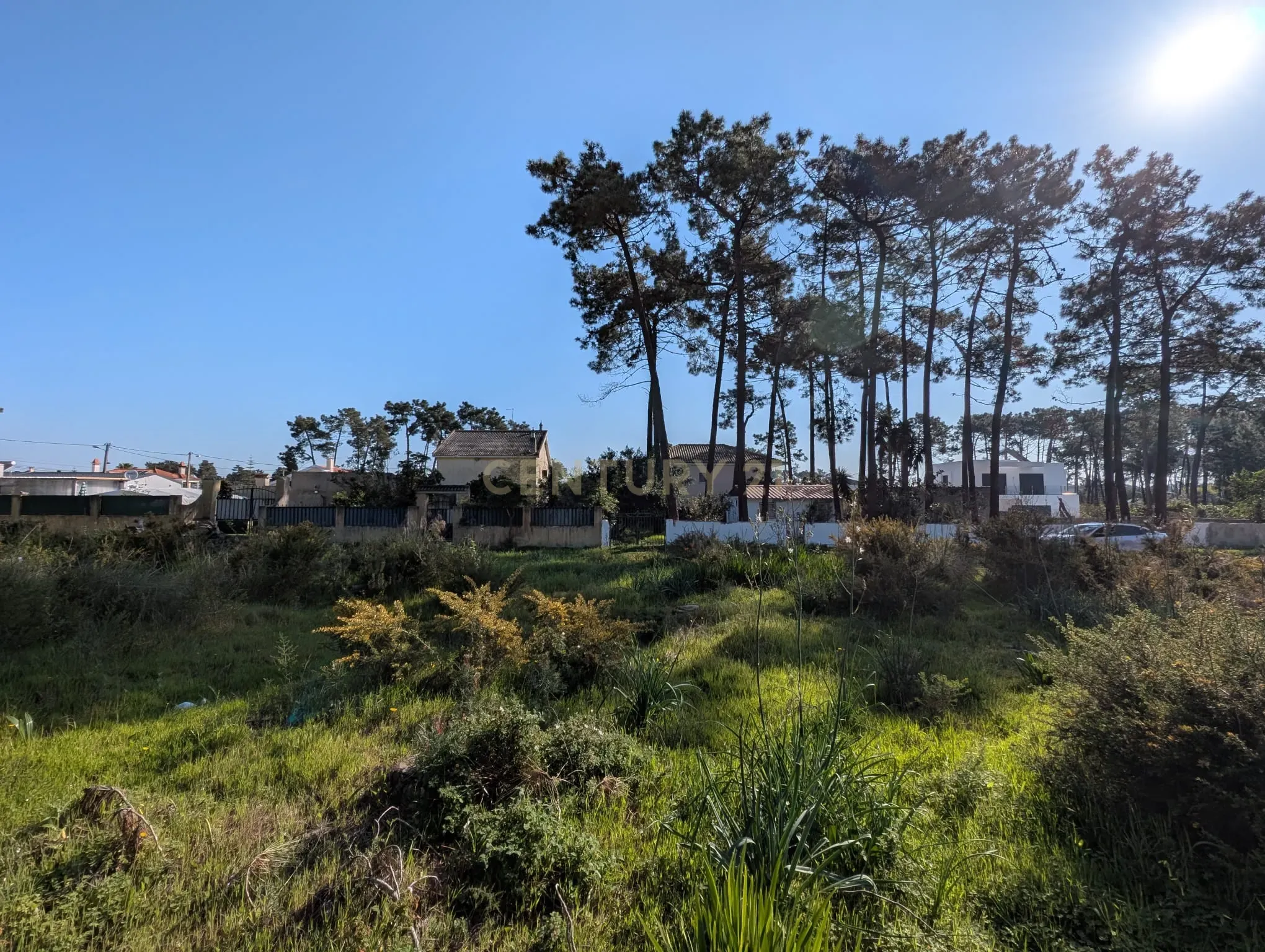 Fotografia 10 de Terreno rústico com 985m2 Aroeira, para lotear