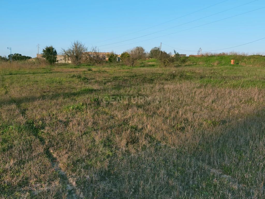 Terreno à Venda em Lamas – Cadaval - Image 4