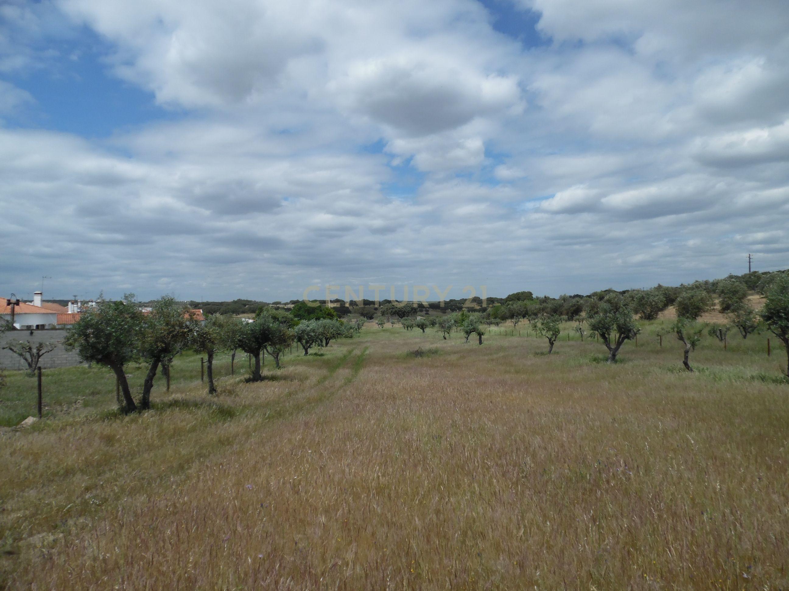 Moradia T3 à venda em Capelins (Santo António), Alandroal — foto 35