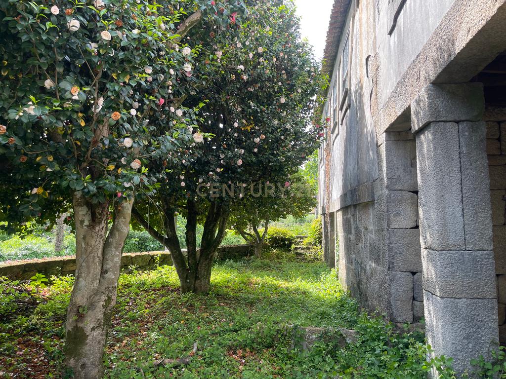 Propriedade com 1,8 hectares de área urbana e 3,2 hectares de solo fértil e floresta, composta por 8 edifícios independentes totalizando 700 m² de área construída, localizada no centro de Serrazes, São Pedro do Sul. - Image 10