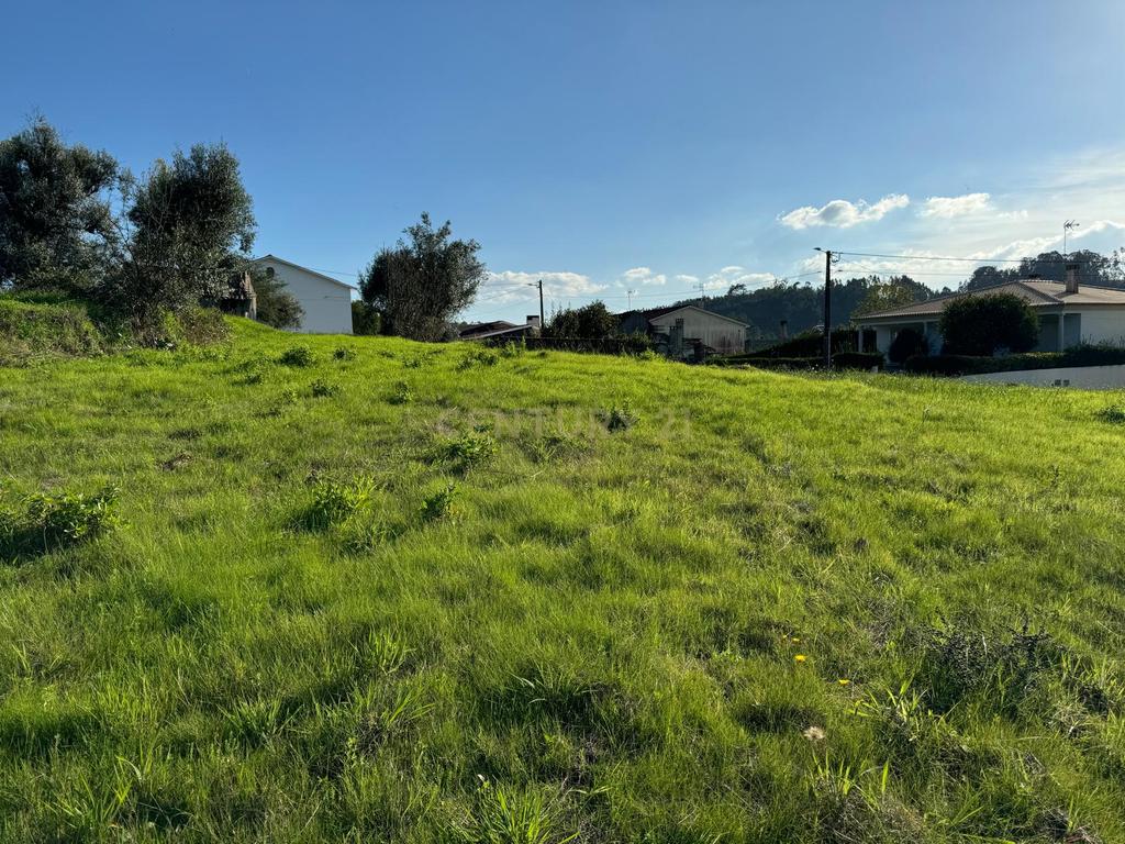 Moradia em ruina sita em Assanha da Paz - Image 10