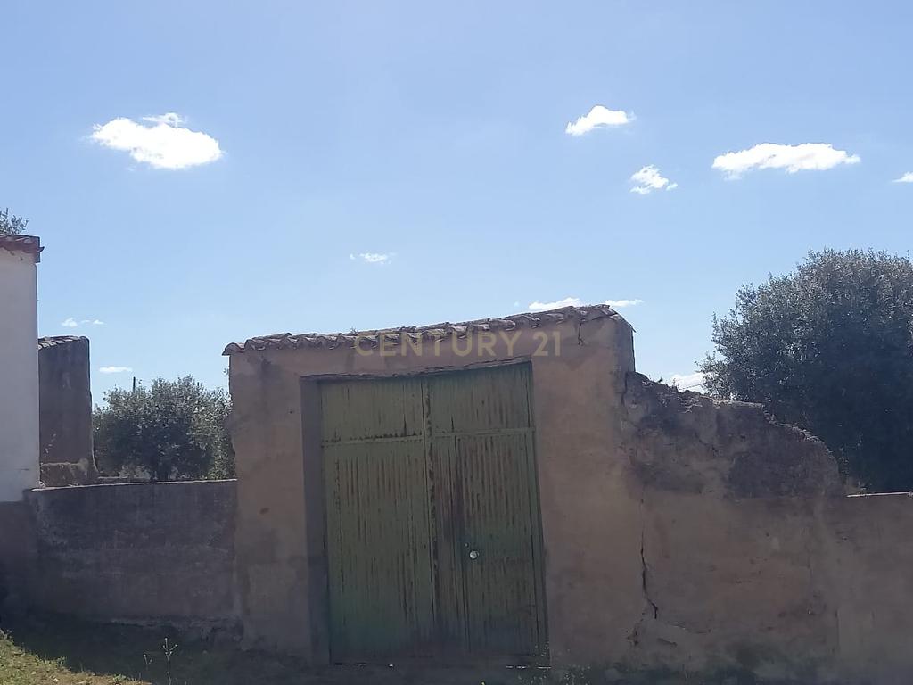 PEDROGÃO ALENTEJO - EXCELENTE TERRENO PARA CONSTRUÇÃO - Image 30
