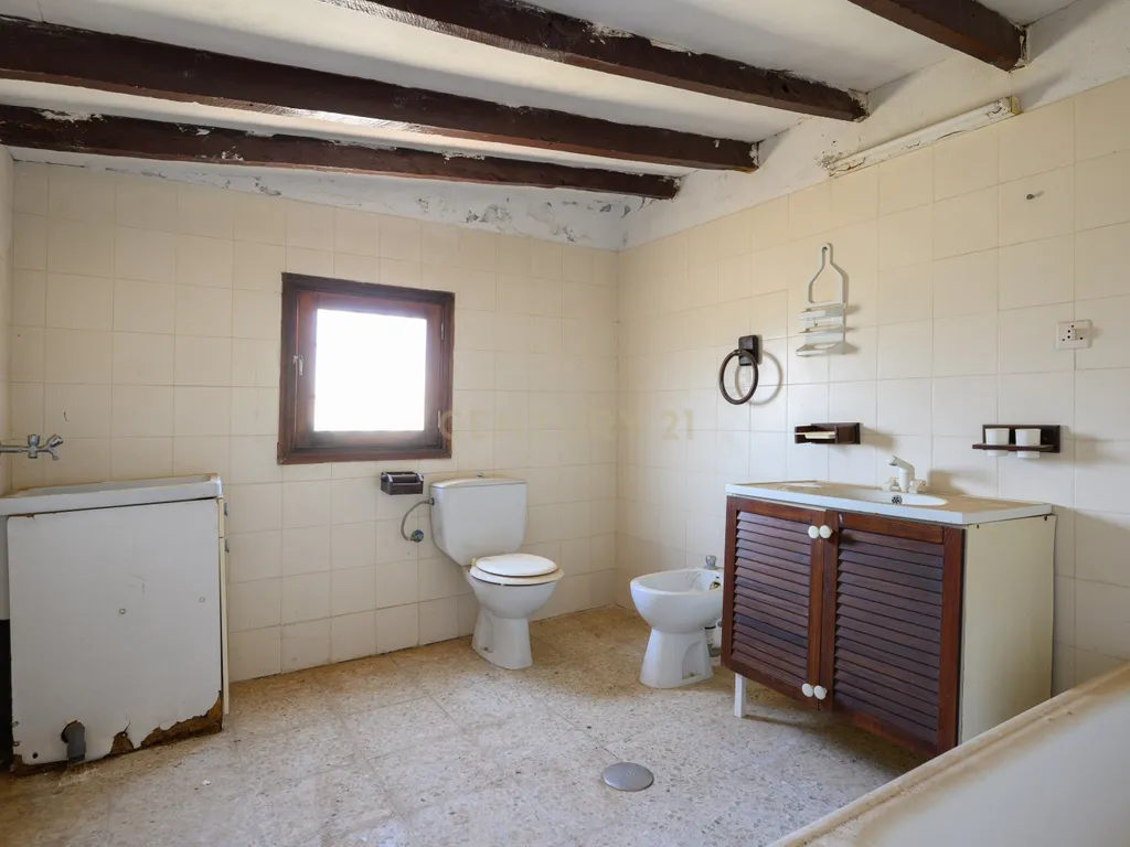 - Image 11