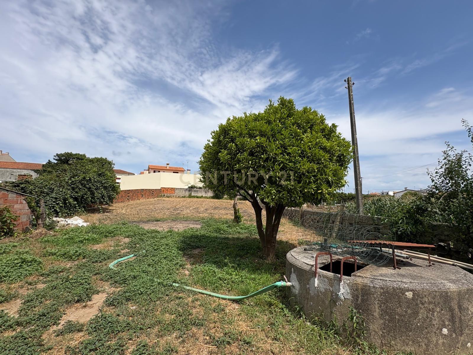 Moradia T4 à venda em Ouca, Vagos — foto 30