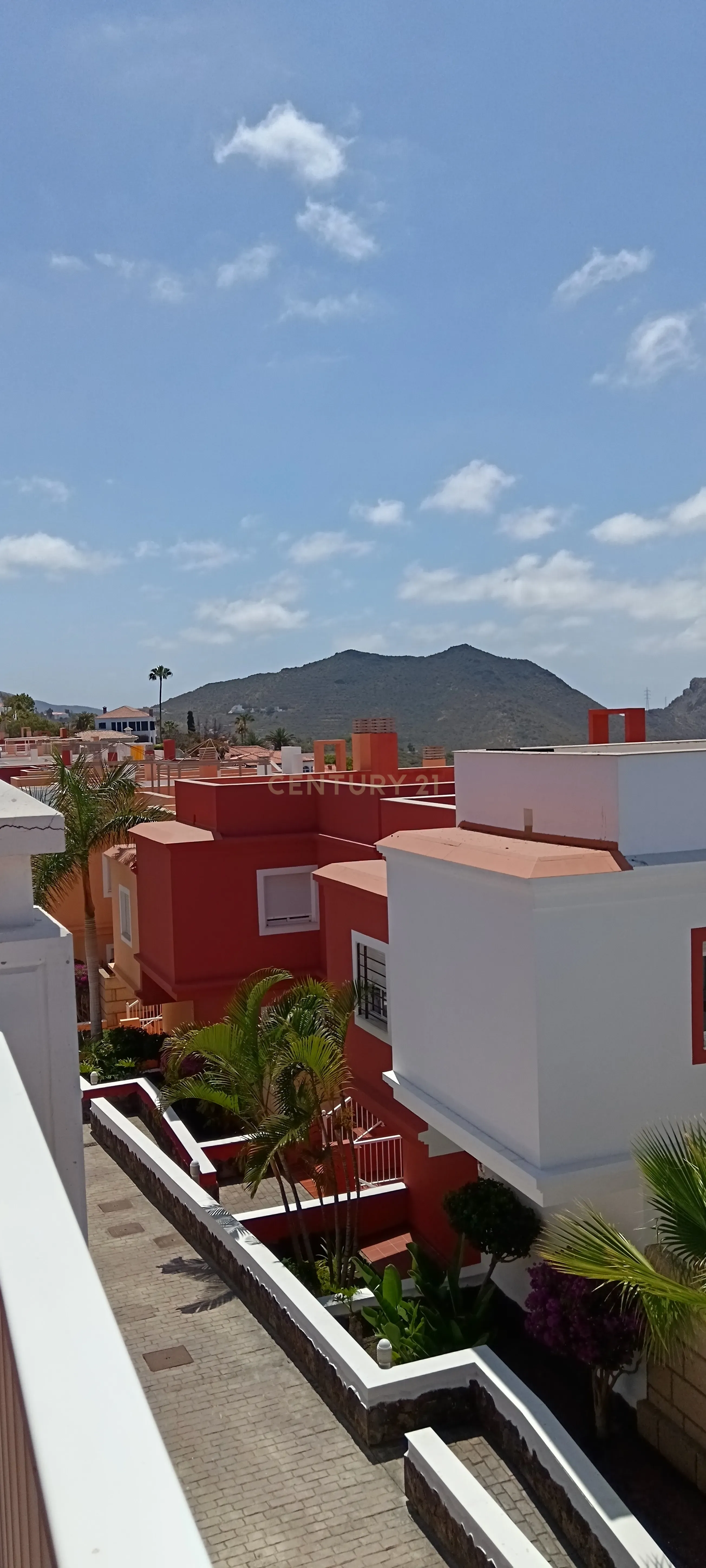 - Image 1