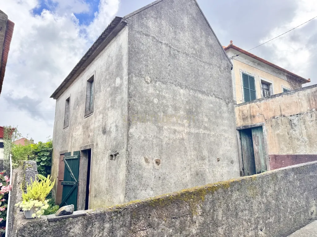 Moradia Tradicional com DOIS PALHEIROS, Terreno e Grande Potencial em Santa, Porto Moniz - Image 14