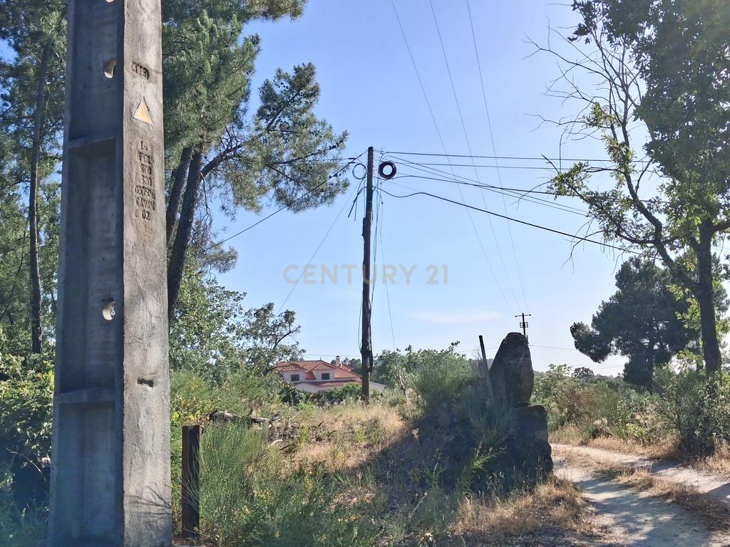 Terreno Rústico, 3800m2 em Aldeia do Bispo, Penamacor - Image 3