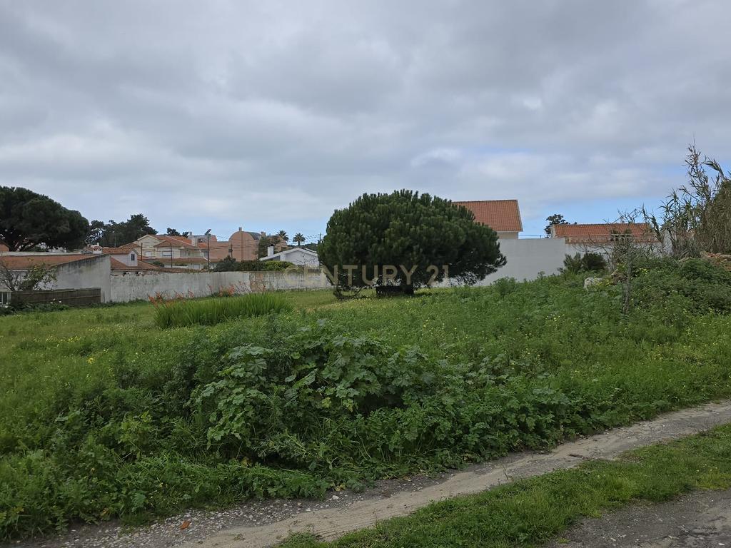 Terreno Urbano de 3.900 m², com moradia térrea sem licença – Charneca de Caparica - Image 11