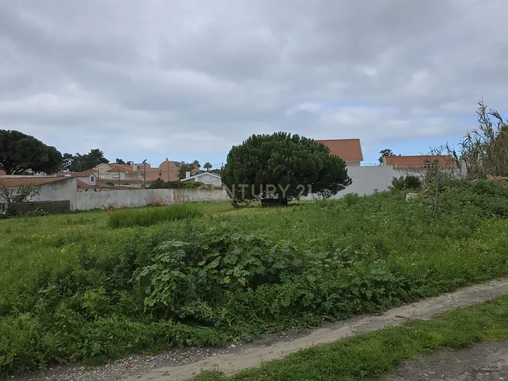 Terreno Urbano de 3.900 m², com moradia térrea sem licença – Charneca de Caparica - Image 11