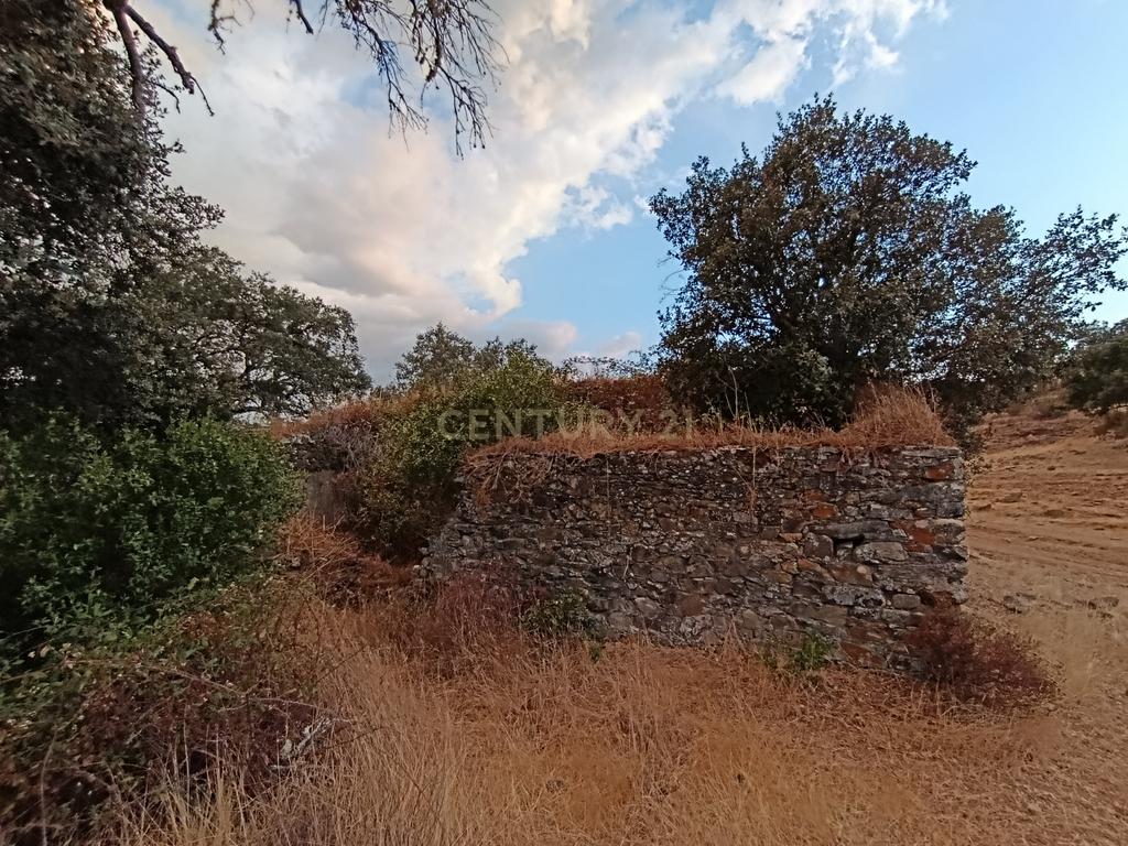 Terreno Misto, com 2 Ruínas, Moinho e Casa do Moleiro em Ribeira de Mira (Santa Clara-a-Nova). - Image 3