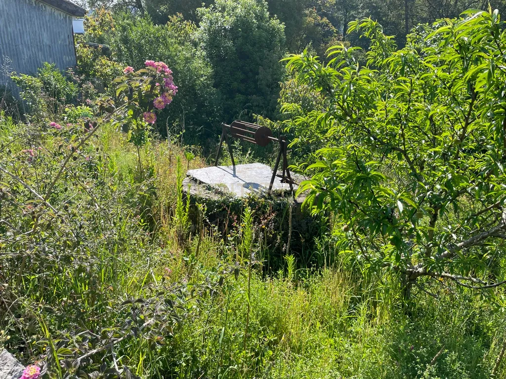 Propriedade junto ao Freixo - Image 26
