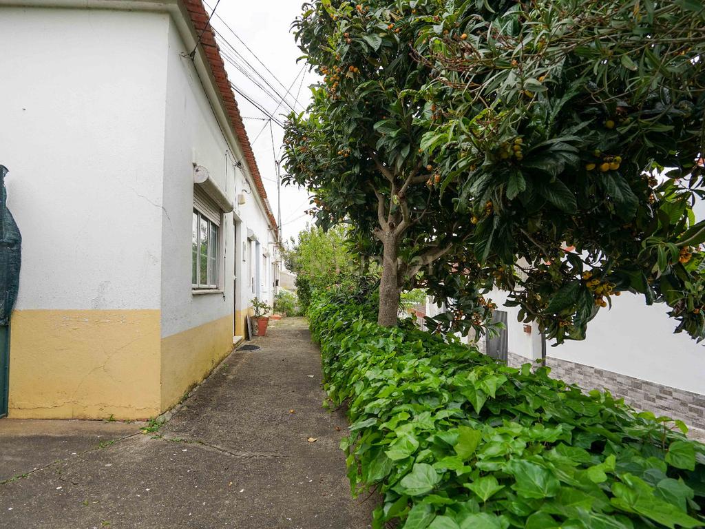 2 Casas T4 com Jardim em Alcanena - Oportunidade Única! - Image 4