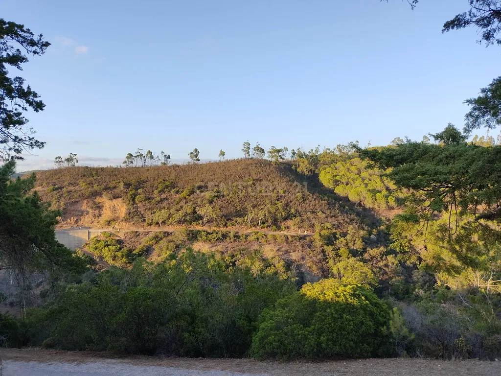 Terreno de 23 Hectares, junto à Barragem da Bravura. - Image 3