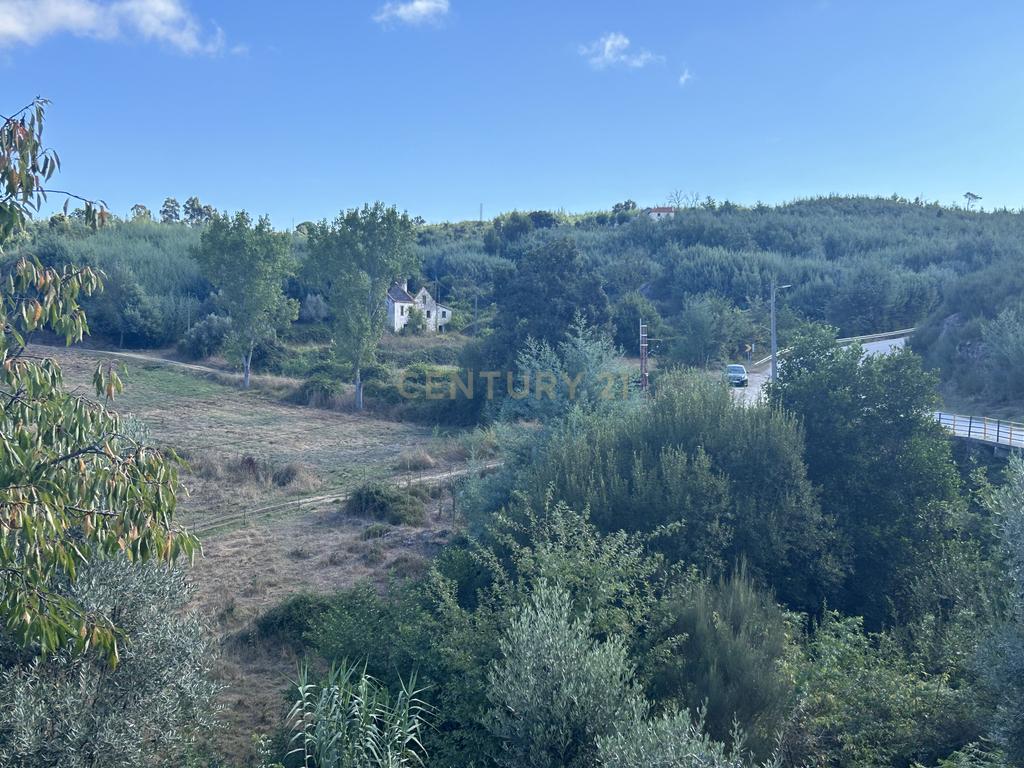 Quinta com Ruína - Oportunidade de Negócio - Image 6