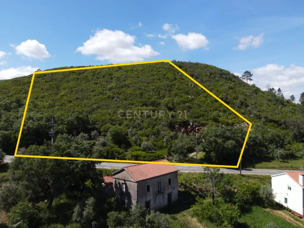 Casa de pedra com terreno junto de riacho - Penela - Image 11