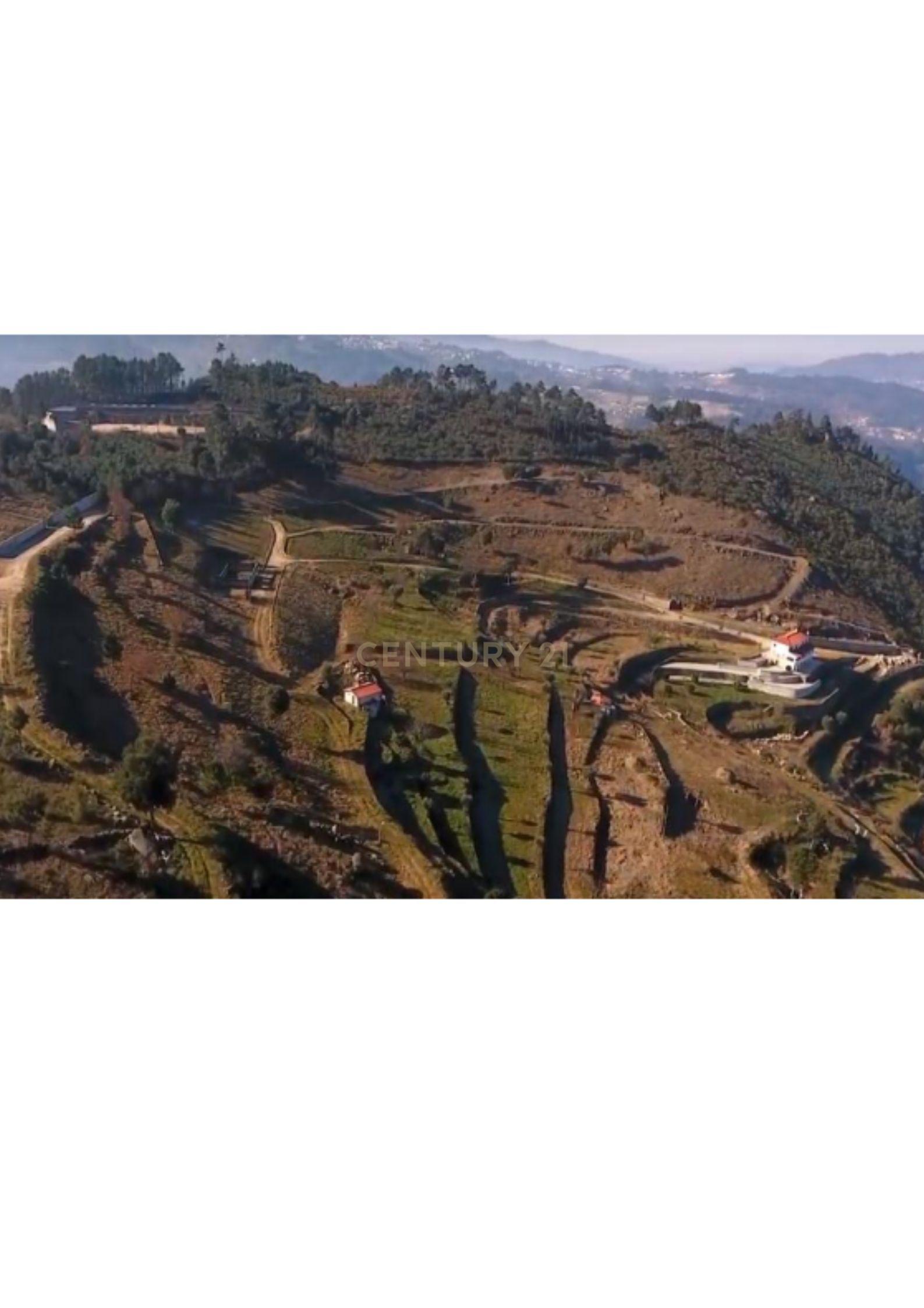 Quinta no Douro com Vistas Rio - Image 2