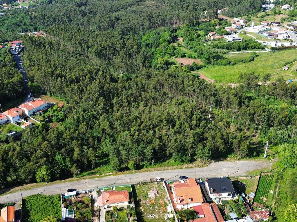 Terreno 14.275m2 - Vila Maior - Image 6