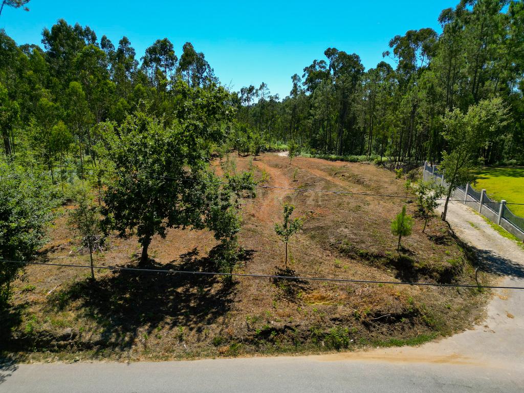 Lote de construção de 720 m2 em Friastelas no concelho Ponte de Lima - Image 4