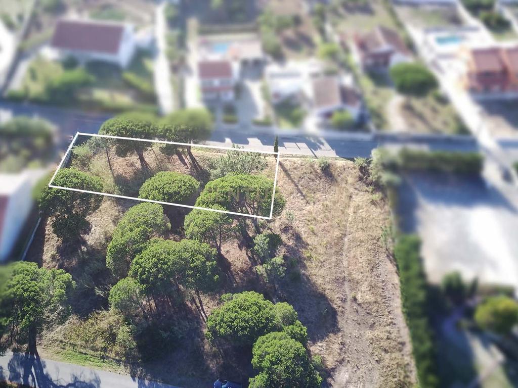 Terreno com viabilidade de construção - Nadadouro - Image 6