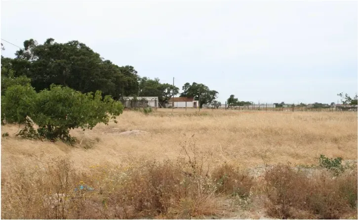 Terreno com 6.694m2 Situado a: 3 km do centro do Montijo. Com potencialidade de construção - Image 7