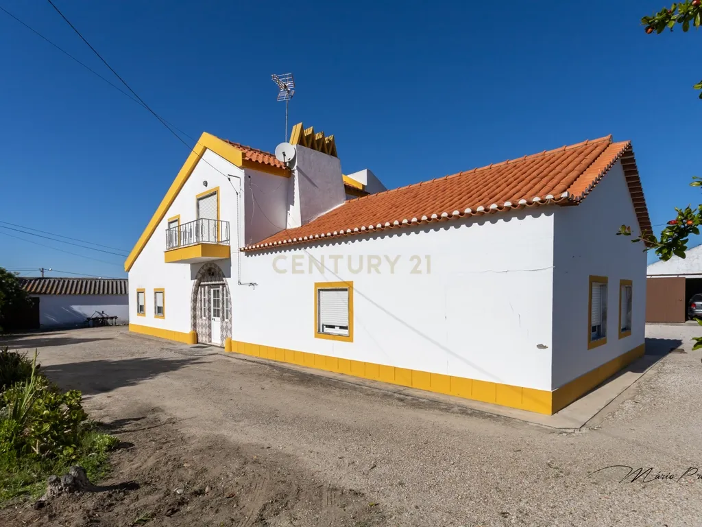 Quinta com Moradia T9 - Santo Isidro de Pegões - Montijo - Image 1