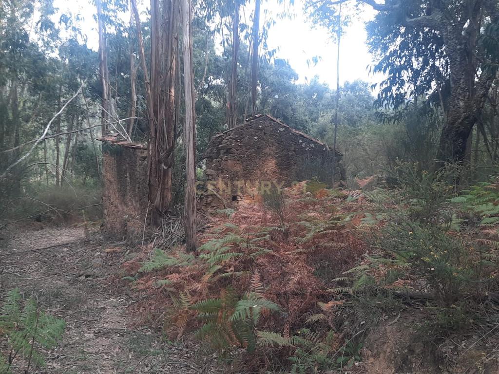 Casa em Ruína inserida em terreno com um enorme potencial  - Image 1