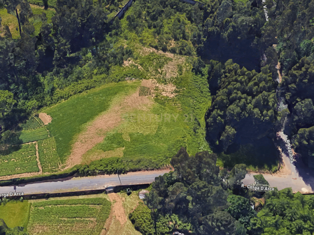 Terreno rústico com 1400 m2 em Argoncilhe - Image 3