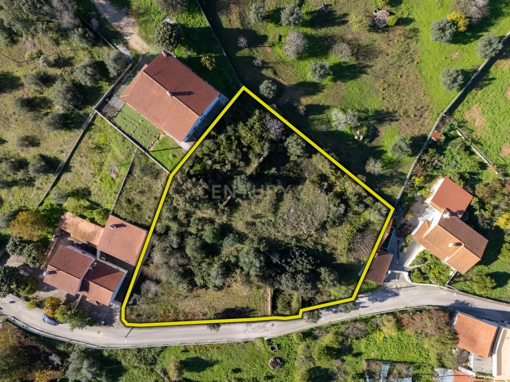 Terreno Urbano com Ruínas e Árvores de Fruto - 2.280m² - Longra, Tomar - Image 2